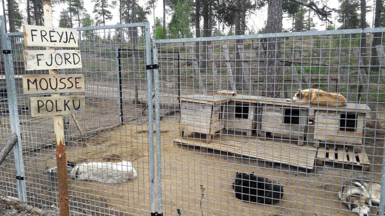 Cabin At Huskies Farm Inari Exterior photo